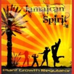 Buy Jamaican Spirit Herbal Incense